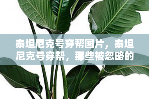 泰坦尼克号穿帮图片,泰坦尼克号穿帮,那些被忽略的银幕遗憾 泰坦尼克号穿帮图片,泰坦尼克号穿帮,那些被忽略的银幕遗憾