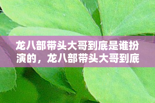 龙八部带头大哥到底是谁扮演的图片