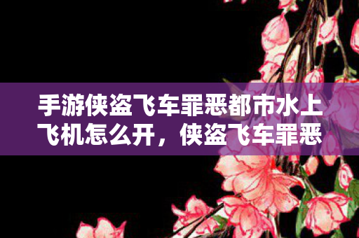 手游侠盗飞车罪恶都市水上飞机怎么开图片