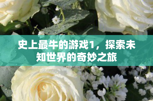 史上最牛的游戏1,探索未知世界的奇妙之旅 史上最牛的游戏1,探索未知世界的奇妙之旅