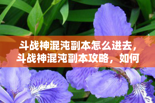 斗战神混沌副本怎么进去,斗战神混沌副本攻略,如何顺利进入 斗战神混沌副本怎么进去,斗战神混沌副本攻略,如何顺利进入