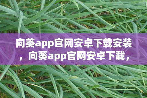 向葵app官网安卓下载安装,向葵app官网安卓下载,安全、便捷、高效的官方渠道 向葵app官网安卓下载安装,向葵app官网安卓下载,安全、便捷、高效的官方渠道