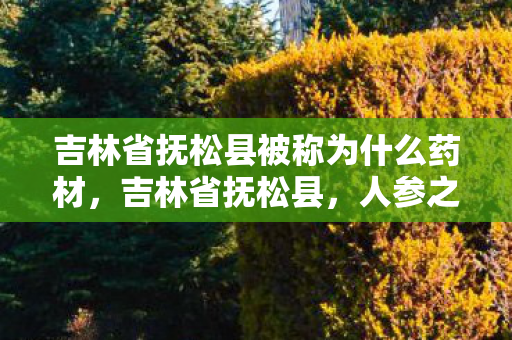 吉林省抚松县被称为什么药材,吉林省抚松县,人参之乡的传奇 吉林省抚松县被称为什么药材,吉林省抚松县,人参之乡的传奇