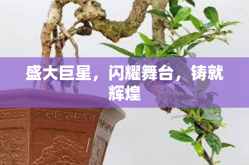 盛大巨星,闪耀舞台,铸就辉煌 盛大巨星,闪耀舞台,铸就辉煌