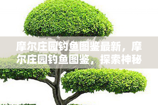 摩尔庄园钓鱼图鉴最新,摩尔庄园钓鱼图鉴,探索神秘水域,收获丰富鱼种 摩尔庄园钓鱼图鉴最新,摩尔庄园钓鱼图鉴,探索神秘水域,收获丰富鱼种