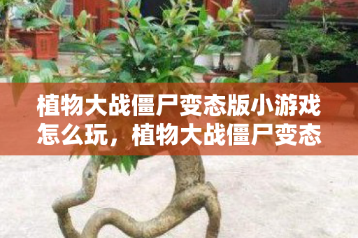 植物大战僵尸变态版小游戏怎么玩,植物大战僵尸变态版小游戏,挑战与乐趣并存 植物大战僵尸变态版小游戏怎么玩,植物大战僵尸变态版小游戏,挑战与乐趣并存