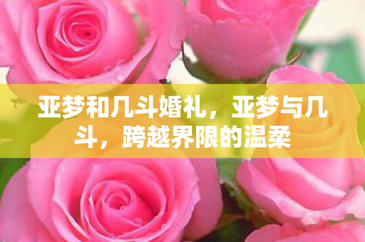 亚梦和几斗婚礼，亚梦与几斗，跨越界限的温柔