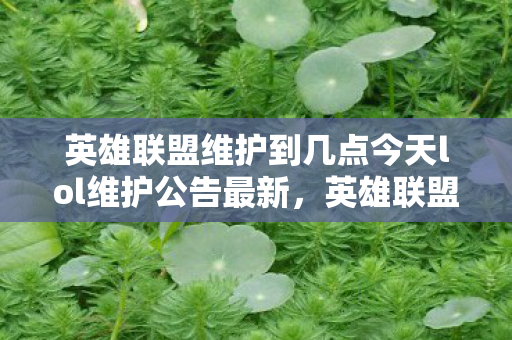 英雄联盟维护到几点今天lol维护公告最新,英雄联盟维护到几点今,深度解析与玩家应对策略 英雄联盟维护到几点今天lol维护公告最新,英雄联盟维护到几点今,深度解析与玩家应对策略