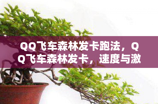 QQ飞车森林发卡跑法,QQ飞车森林发卡,速度与激情的赛道挑战 QQ飞车森林发卡跑法,QQ飞车森林发卡,速度与激情的赛道挑战