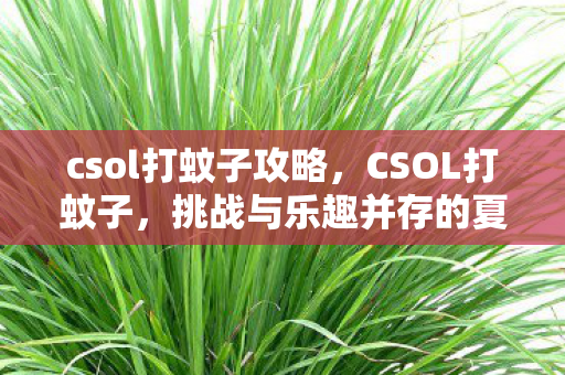 csol打蚊子攻略,CSOL打蚊子,挑战与乐趣并存的夏日活动 csol打蚊子攻略,CSOL打蚊子,挑战与乐趣并存的夏日活动