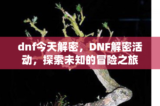 dnf今天解密,DNF解密活动,探索未知的冒险之旅 dnf今天解密,DNF解密活动,探索未知的冒险之旅