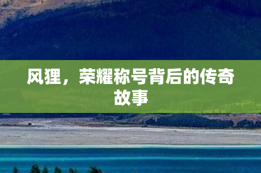 风狸,荣耀称号背后的传奇故事 风狸,荣耀称号背后的传奇故事