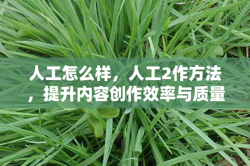 提升内容创作效率与质量的关键策略图片
