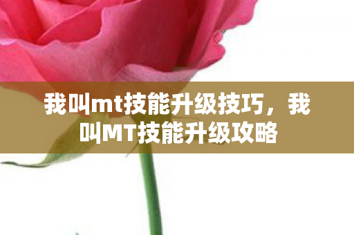我叫mt技能升级技巧图片