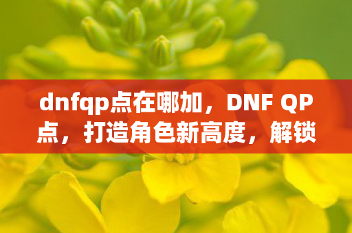 dnfqp点在哪加,DNF QP点,打造角色新高度,解锁无限可能 dnfqp点在哪加,DNF QP点,打造角色新高度,解锁无限可能