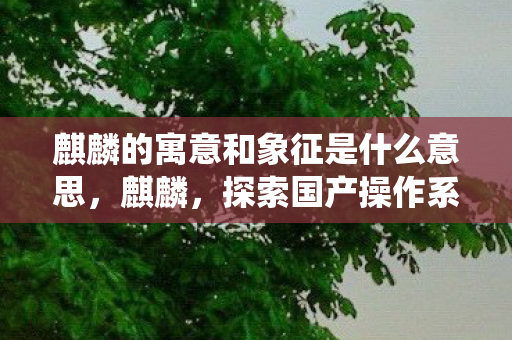 麒麟的寓意和象征是什么意思,麒麟,探索国产操作系统的新篇章 麒麟的寓意和象征是什么意思,麒麟,探索国产操作系统的新篇章