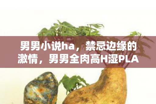 男男小说ha,禁忌边缘的激情,男男全肉高H湿PLAY短篇 男男小说ha,禁忌边缘的激情,男男全肉高H湿PLAY短篇