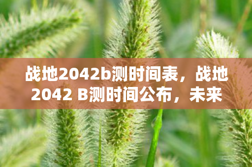 战地2042b测时间表,战地2042 B测时间公布,未来战争体验即将开启 战地2042b测时间表,战地2042 B测时间公布,未来战争体验即将开启
