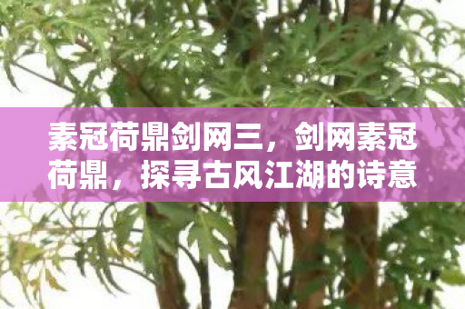 素冠荷鼎剑网三，剑网素冠荷鼎，探寻古风江湖的诗意与远方