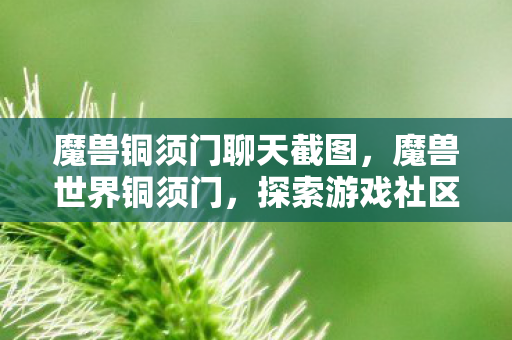 探索游戏社区的灰色地带图片