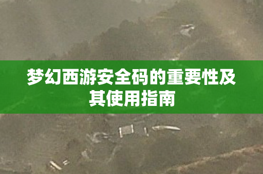 梦幻西游安全码的重要性及其使用指南 梦幻西游安全码的重要性及其使用指南