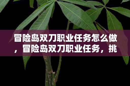 冒险岛双刀职业任务怎么做，冒险岛双刀职业任务，挑战与成长并进的冒险之旅