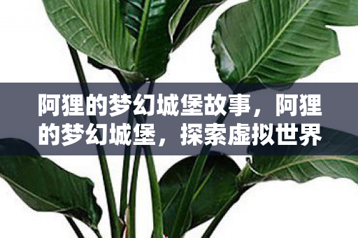阿狸的梦幻城堡故事，阿狸的梦幻城堡，探索虚拟世界的奇妙之旅