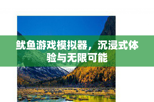 鱿鱼游戏模拟器，沉浸式体验与无限可能