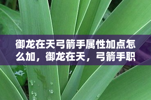 御龙在天弓箭手属性加点怎么加,御龙在天,弓箭手职业加点策略详解 御龙在天弓箭手属性加点怎么加,御龙在天,弓箭手职业加点策略详解