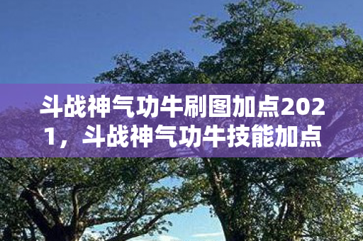 斗战神气功牛刷图加点2021，斗战神气功牛技能加点攻略