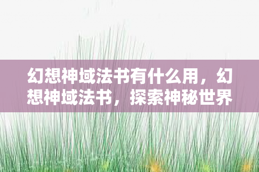 幻想神域法书有什么用，幻想神域法书，探索神秘世界的钥匙