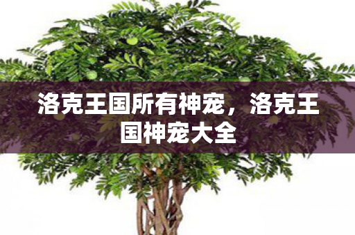 洛克王国所有神宠,洛克王国神宠大全 洛克王国所有神宠,洛克王国神宠大全