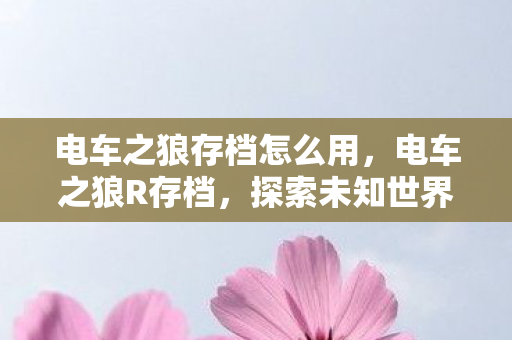 电车之狼存档怎么用,电车之狼R存档,探索未知世界的钥匙 电车之狼存档怎么用,电车之狼R存档,探索未知世界的钥匙