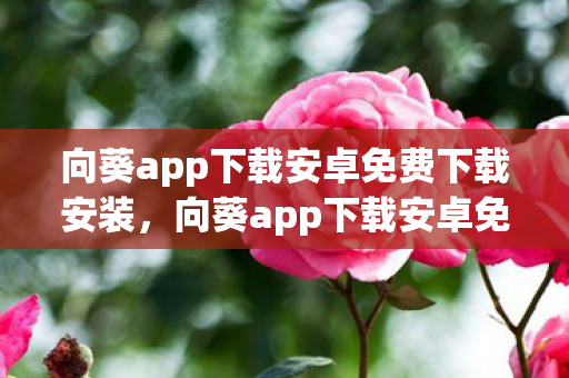 向葵app下载安卓免费下载安装,向葵app下载安卓免费下载 向葵app下载安卓免费下载安装,向葵app下载安卓免费下载