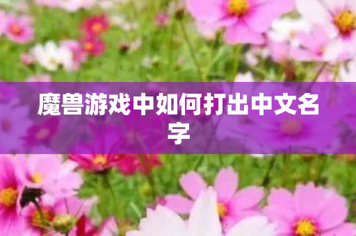 魔兽游戏中如何打出中文名字 魔兽游戏中如何打出中文名字