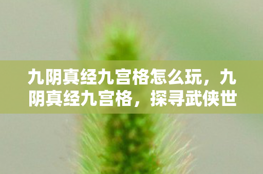 九阴真经九宫格怎么玩,九阴真经九宫格,探寻武侠世界的奥秘 九阴真经九宫格怎么玩,九阴真经九宫格,探寻武侠世界的奥秘