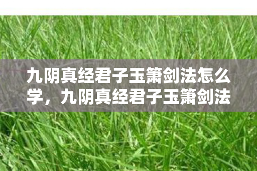 九阴真经君子玉箫剑法怎么学,九阴真经君子玉箫剑法,剑舞长空,君子之风 九阴真经君子玉箫剑法怎么学,九阴真经君子玉箫剑法,剑舞长空,君子之风