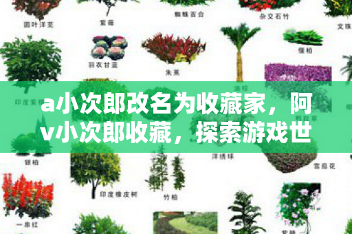 a小次郎改名为收藏家,阿v小次郎收藏,探索游戏世界的奇妙之旅 a小次郎改名为收藏家,阿v小次郎收藏,探索游戏世界的奇妙之旅