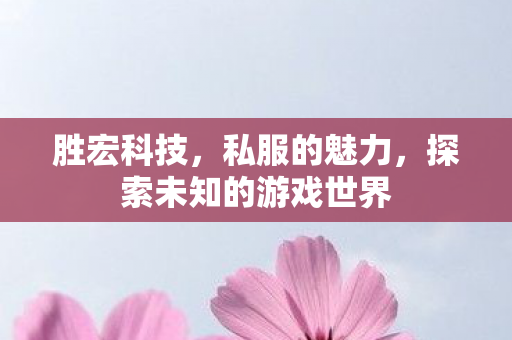 胜宏科技,私服的魅力,探索未知的游戏世界 胜宏科技,私服的魅力,探索未知的游戏世界