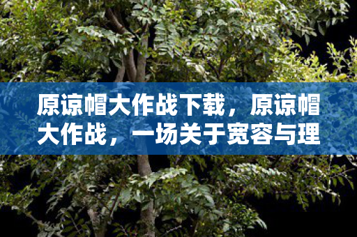 原谅帽大作战下载,原谅帽大作战,一场关于宽容与理解的趣味挑战 原谅帽大作战下载,原谅帽大作战,一场关于宽容与理解的趣味挑战