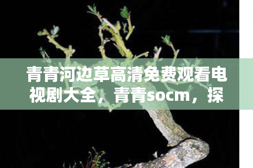 青青河边草高清免费观看电视剧大全,青青socm,探索游戏世界的无限可能 青青河边草高清免费观看电视剧大全,青青socm,探索游戏世界的无限可能