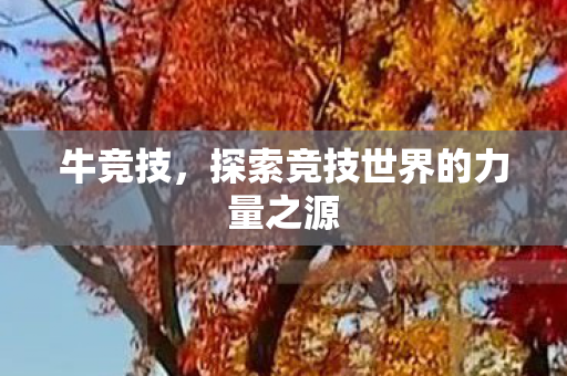 牛竞技,探索竞技世界的力量之源 牛竞技,探索竞技世界的力量之源