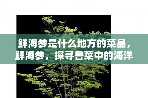 鲜海参是什么地方的菜品,鲜海参,探寻鲁菜中的海洋珍馐 鲜海参是什么地方的菜品,鲜海参,探寻鲁菜中的海洋珍馐