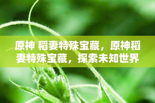 原神 稻妻特殊宝藏,原神稻妻特殊宝藏,探索未知世界的神秘宝藏 原神 稻妻特殊宝藏,原神稻妻特殊宝藏,探索未知世界的神秘宝藏