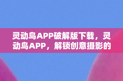 灵动鸟APP破解版下载，灵动鸟APP，解锁创意摄影的无限可能