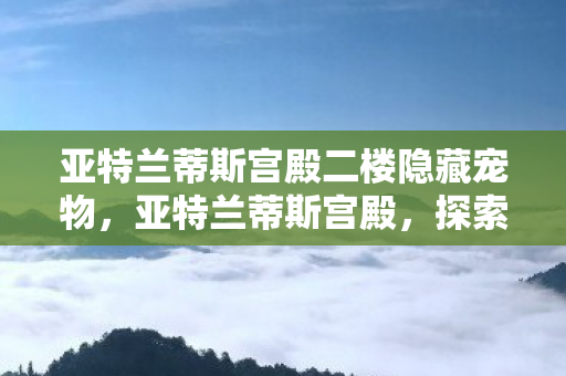 亚特兰蒂斯宫殿二楼隐藏宠物，亚特兰蒂斯宫殿，探索古老文明的神秘遗迹
