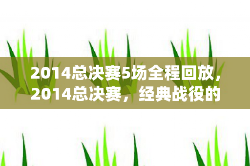 2014总决赛5场全程回放,2014总决赛,经典战役的回顾与解析 2014总决赛5场全程回放,2014总决赛,经典战役的回顾与解析