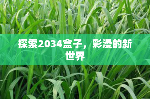 探索2034盒子,彩漫的新世界 探索2034盒子,彩漫的新世界