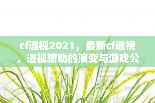 cf透视2021，最新cf透视，透视辅助的演变与游戏公平性探讨