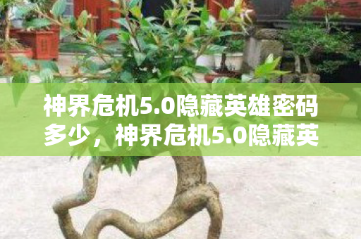 神界危机5.0隐藏英雄密码多少,神界危机5.0隐藏英雄密码揭秘,解锁未知力量的神秘钥匙 神界危机5.0隐藏英雄密码多少,神界危机5.0隐藏英雄密码揭秘,解锁未知力量的神秘钥匙
